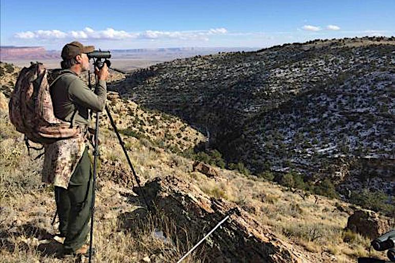 Hunting the Southwest: What Makes Arizona Glassing Unique